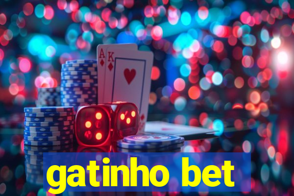 gatinho bet